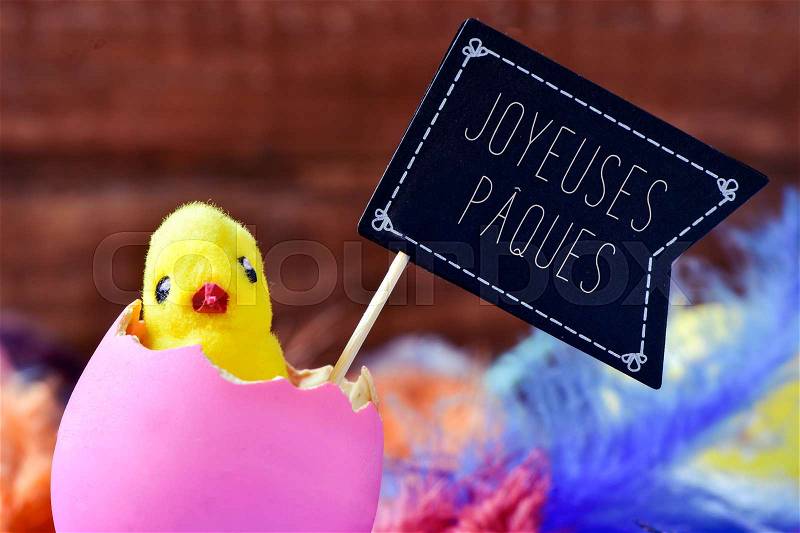 Closeup of a toy chick emerging from a hatched pink egg surrounded by feathers and a black flag-shaped signboard with the text joyeuses paques, happy easter in french, stock photo