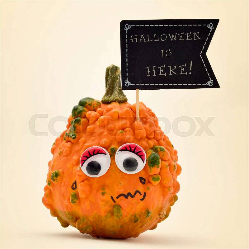 Closeup of a terrified pumpkin with a black flag-shaped signboard with the text Halloween is here written in it, against an off-white background, stock photo