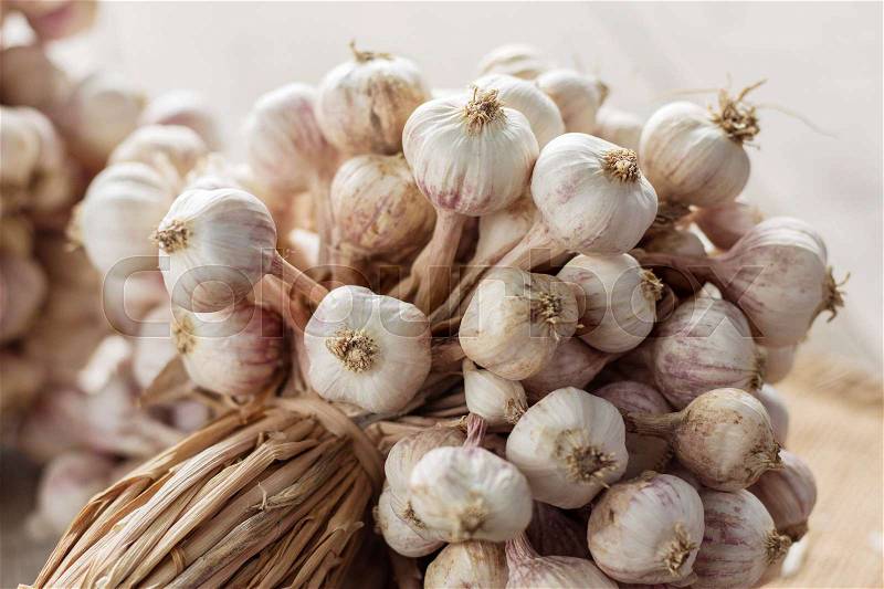 Dried garlic with a white background, stock photo