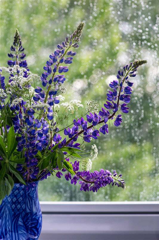 Bouquet of flowers behind rainy window, lupines, stock photo
