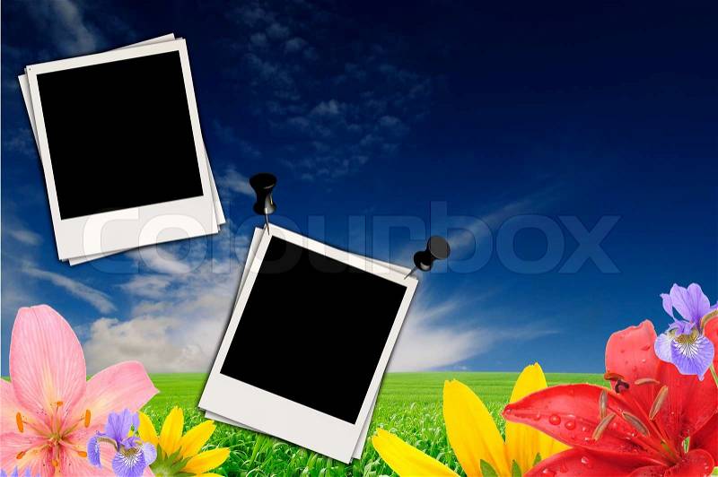 Blank Photos over Summer Background, stock photo