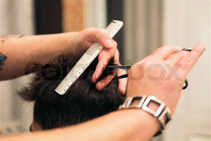 Hairstylist making men\'s haircut to an attractive man in the beauty salon, stock photo