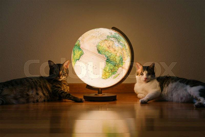 Two sweet cats lying on the floor next to the terrestrial globe, stock photo