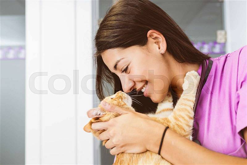 Veterinarian doctor hugging a little cat. Veterinary Concept, stock photo