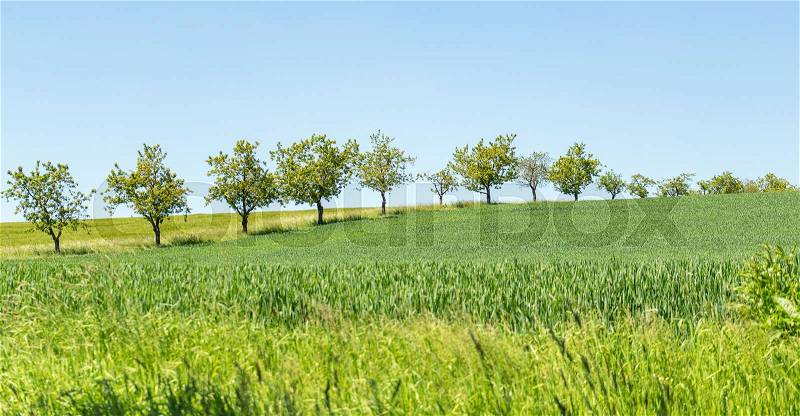 Idyllic rural spring time scenery in Hohenlohe, a area in Southern Germany, stock photo