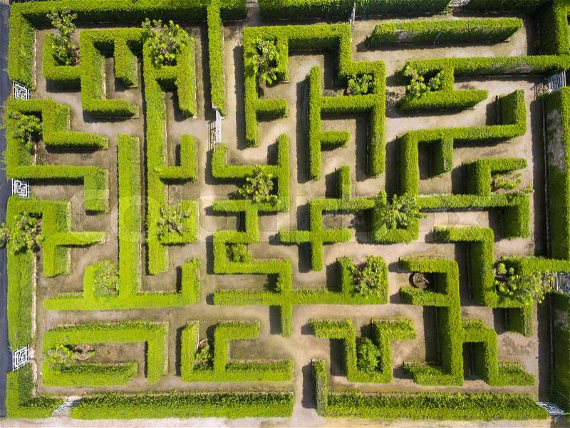 Aerial view of Green maze garden, stock photo