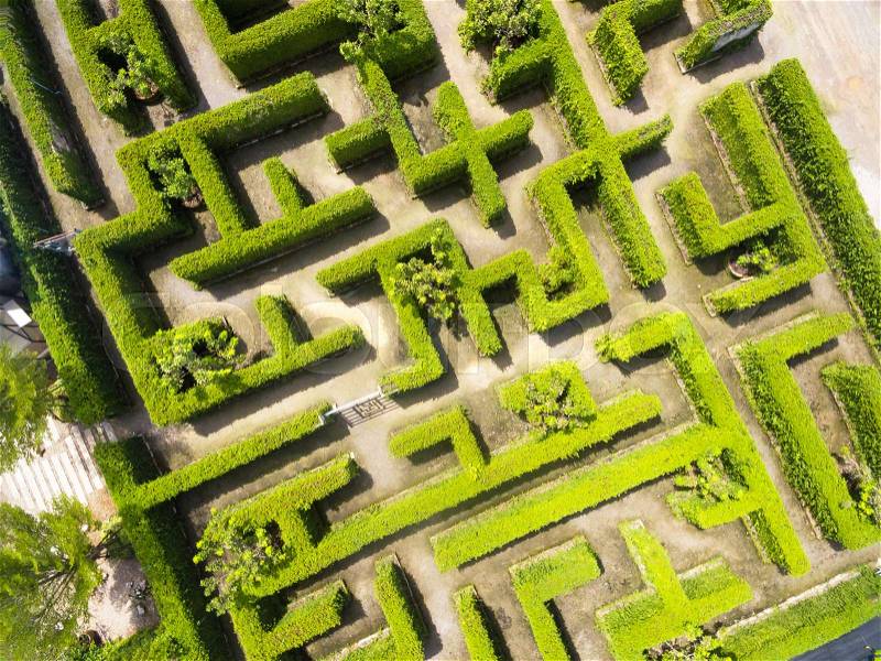 Aerial view of Green maze garden, stock photo