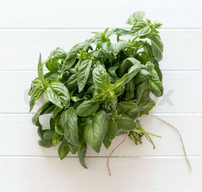Bunch of basil on a white wooden background, stock photo