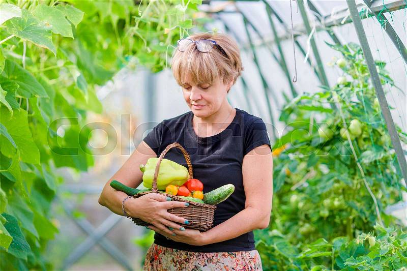 Woman with basket of greenery and vegetables in the greenhouse. Time to harvest, stock photo