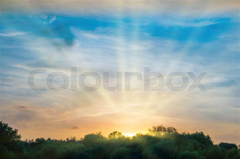 Sunset over forest silhouette. Dramatic sky with sun, sunrays and clouds, stock photo