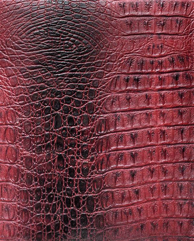 Reptile skin texture, stock photo