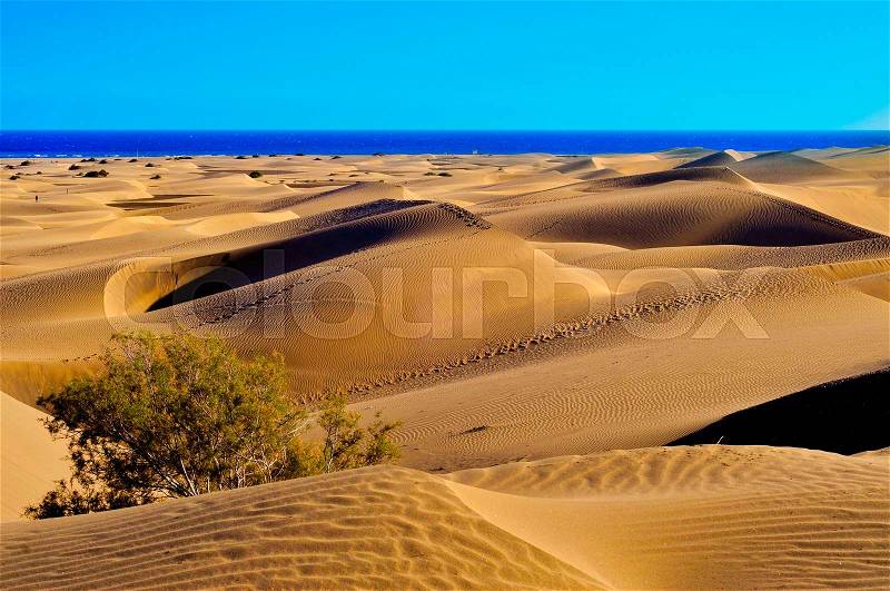 A view of the Natural Reserve of Dunes of Maspalomas, in Gran Canaria, Canary Islands, Spain, stock photo