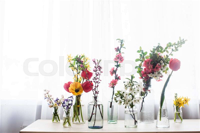 Different beautiful flowers in jars with water on the table near the window, stock photo