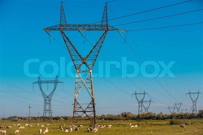 Power pylons and high voltage lines in an agricultural landscape with sheeps in Bulgaria, stock photo