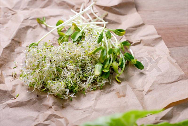 Mixed organic micro greens on craft paper. Fresh sunflower and heap of alfalfa micro green sprouts for healthy vegan food cooking. Healthy food and diet concept. Cut microgreens, stock photo