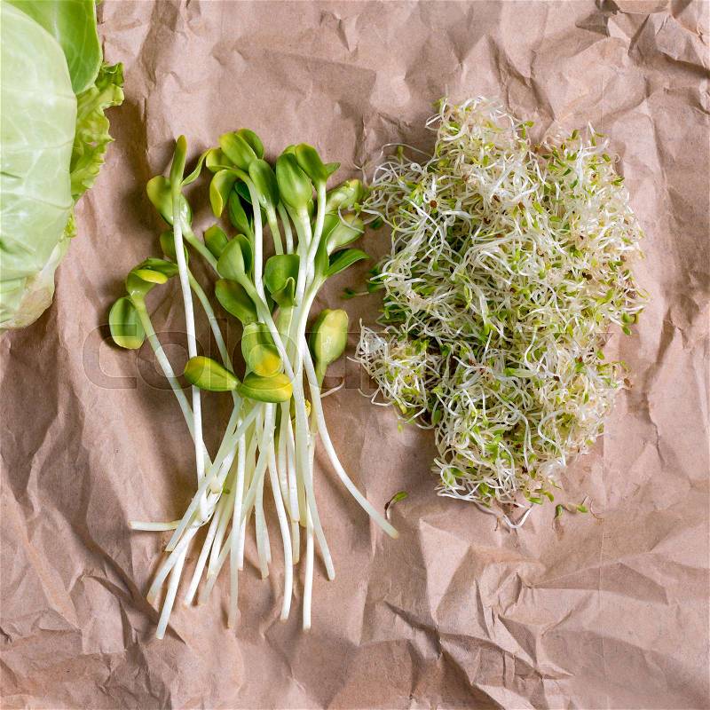 Mixed organic micro greens and cabbage on craft paper. Fresh sunflower and heap of alfalfa micro green sprouts for healthy vegan food cooking. Healthy food and diet concept. Cut microgreens, top view with copy space, stock photo
