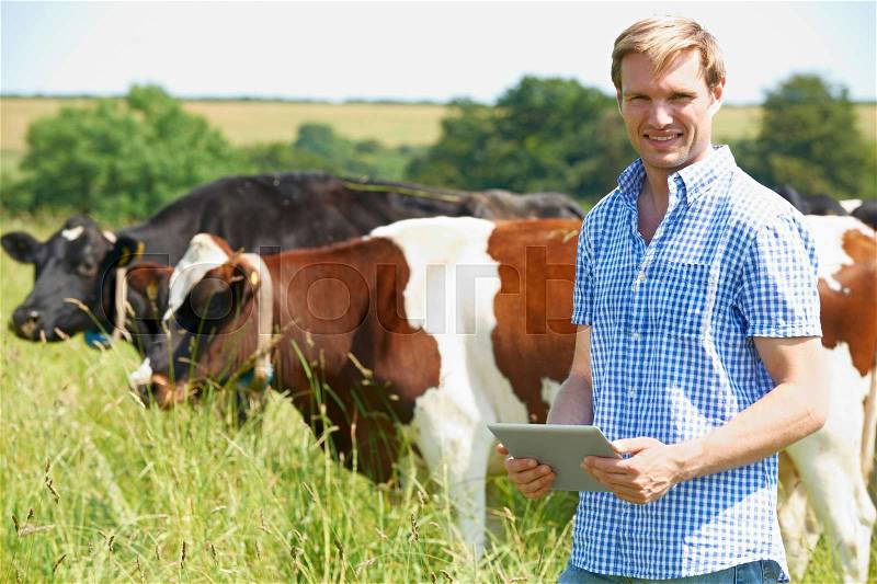Portrait Of Dairy Farmer With Digital Tablet In Field, stock photo