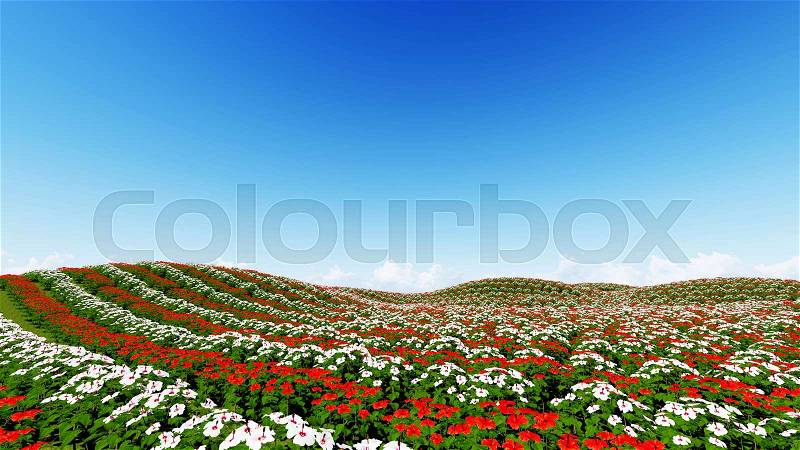 Field Flower on clear blue sky 3D render, stock photo