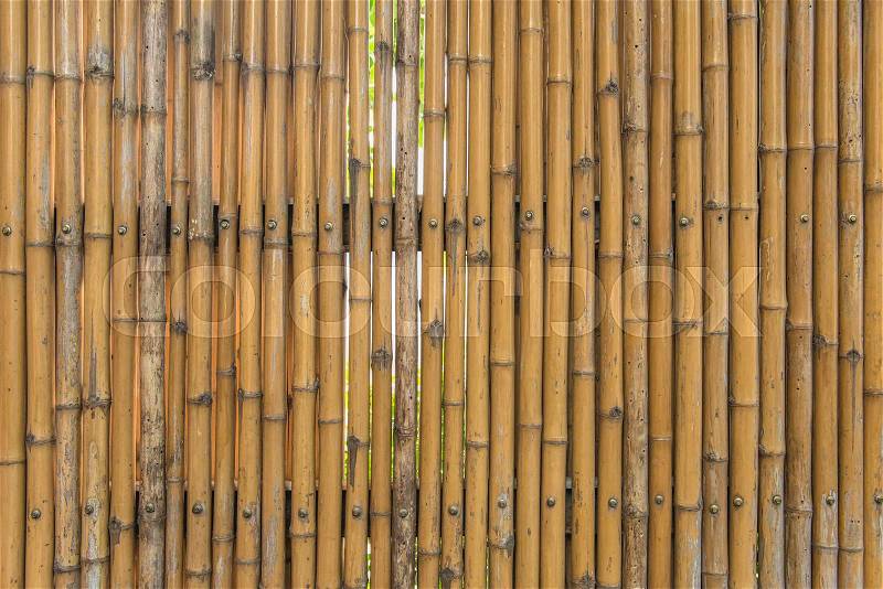 Bamboo fence wall texture pattern for background, stock photo
