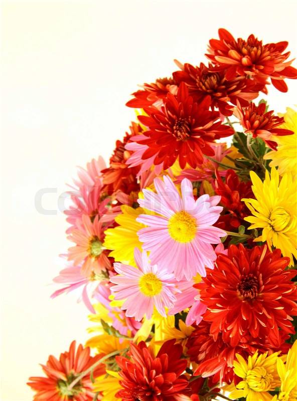 Bouquet of flowers autumn in a vase  Stock Photo  Colourbox