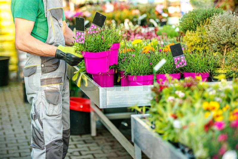 Florist and His Flowers Business. Caucasian Garden Store Owner. Gardening and Landscaping. Floristry Industry Theme, stock photo