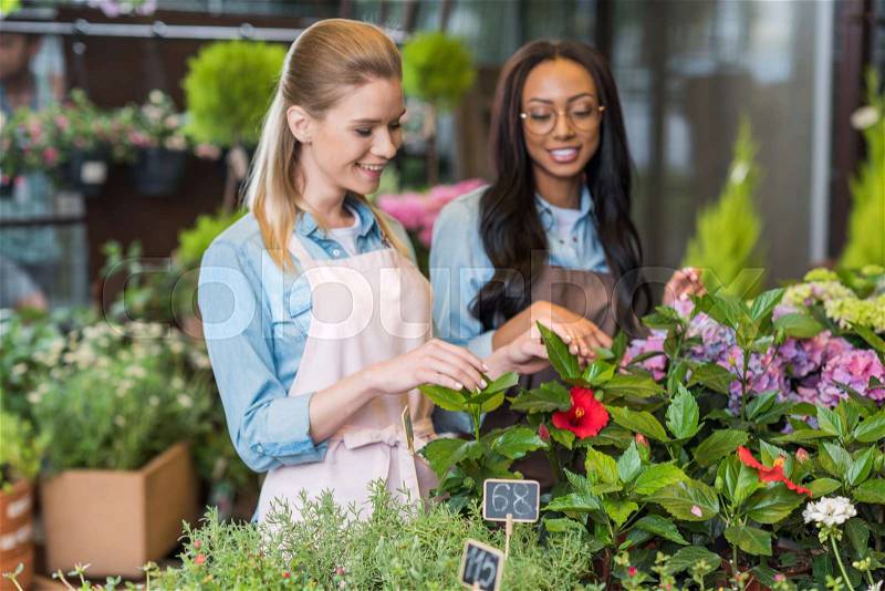 Cheerful young multiethnic florists in aprons working with plants in flower shop, stock photo