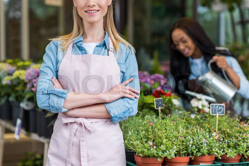 Cropped shot of blonde smiling florist in apron standing with crossed arms while colleague watering plants in flower shop, stock photo