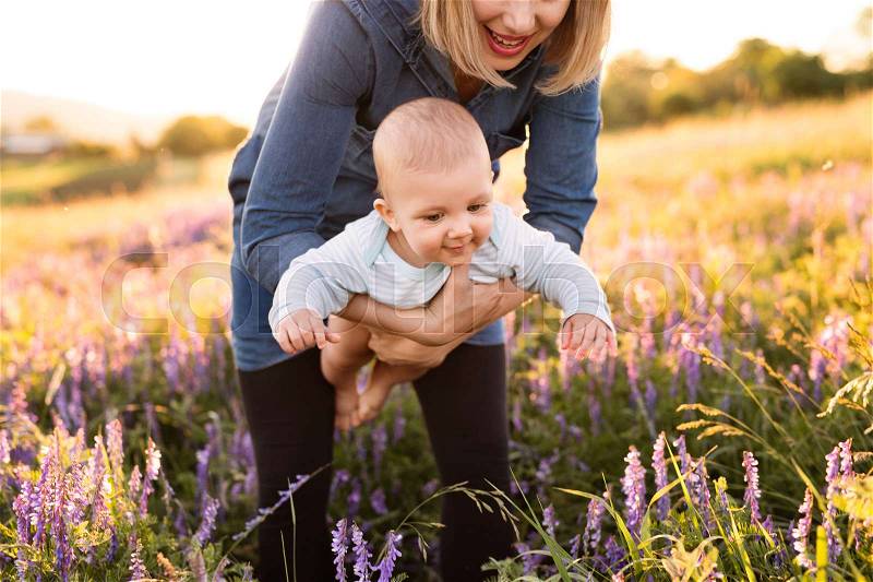 Unrecognizable young mother holding her little baby son in the arms outdoors in nature in lavender field, stock photo