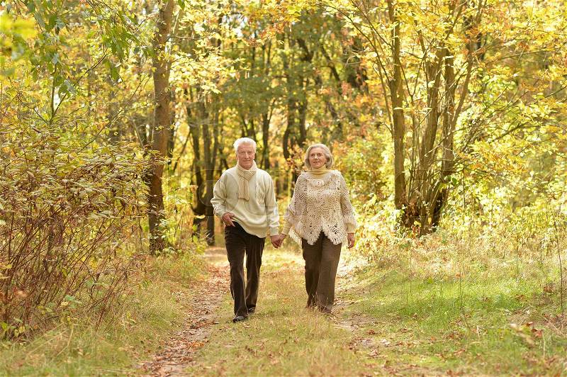 Happy senior couple holding hands together and walking on forest path, stock photo