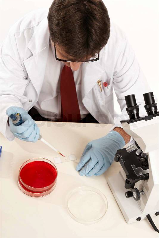 Scientist, biologist or other laboratory research worker prepares a glass slide for viewing under the microscope, stock photo