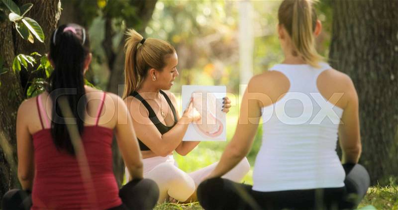 Pregnant women taking prenatal lesson in park. Teacher explaining baby growth inside belly with pictures and drawings, stock photo