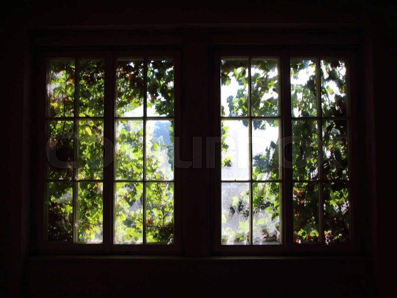 Window with Sunlight and Growing Green Weed in Backlight, stock photo