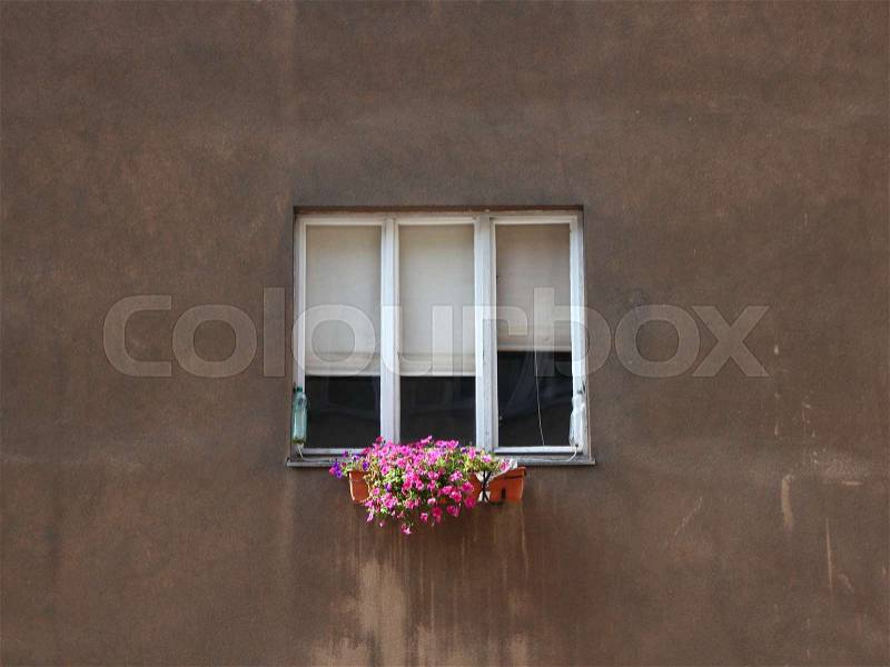 Urban Flower Box under Tree Cell Window on Concrete Wall, stock photo