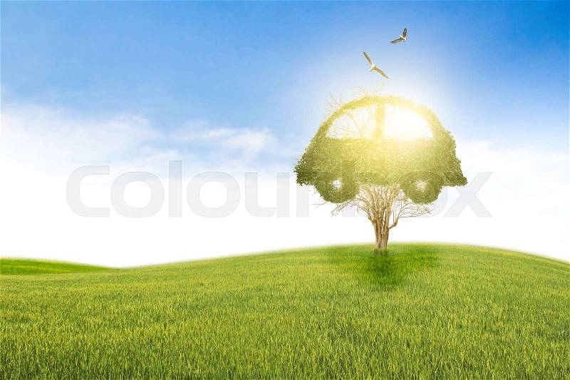 Concept car recycle of life. Big alone tree in the field, stock photo
