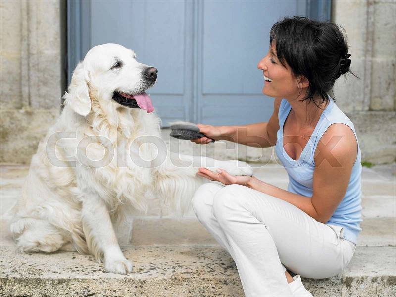 Woman brushing her dog, stock photo