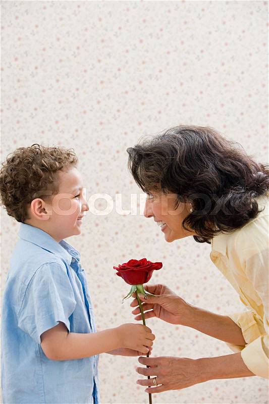 Boy giving rose to grandmother, stock photo
