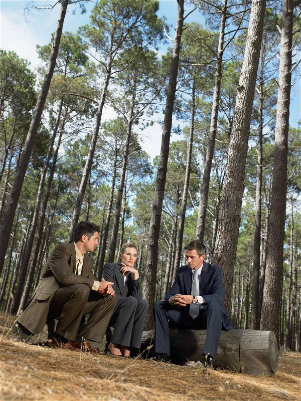 Office workers sitting in a forest, stock photo
