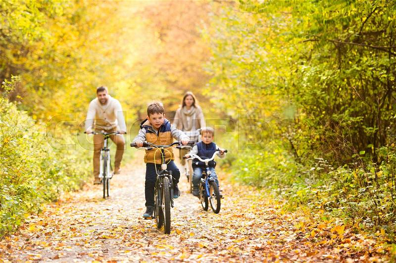 Beautiful young family with two sons in warm clothes cycling outside in autumn nature, stock photo