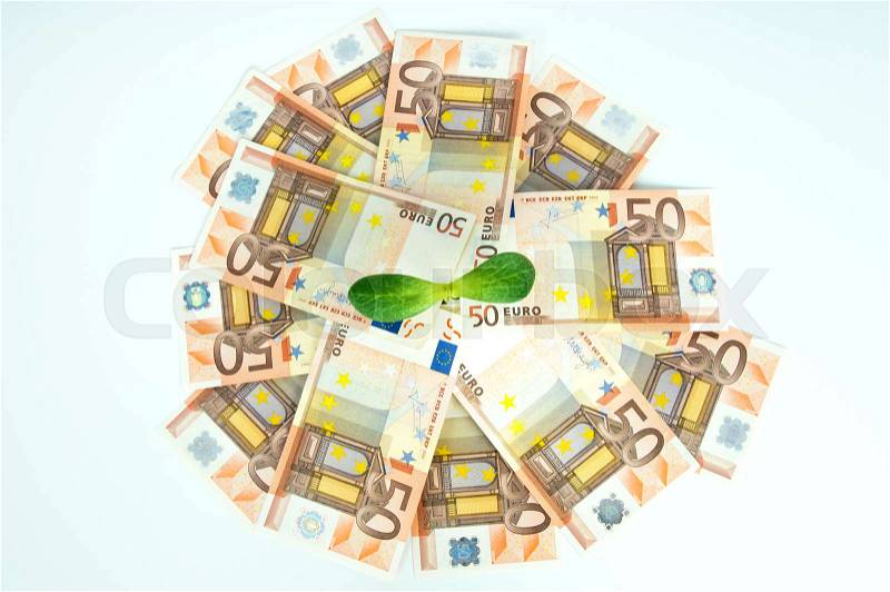 Green sprout in the middle of many European currencies on a gray background, stock photo