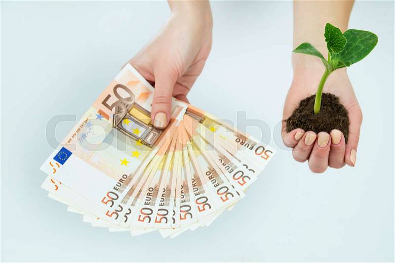 European money and a seedling in the hands, stock photo
