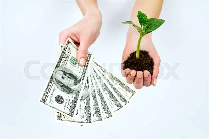A girl holding a seedling with earth and American money, stock photo