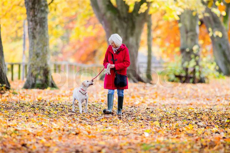 Senior woman is enjoying an autumn walk with her pet dog, stock photo
