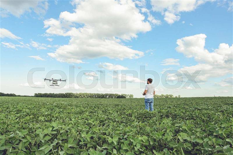Technician farmer use wifi computer control agriculture drone on green field. Agriculture drone on the green field, stock photo