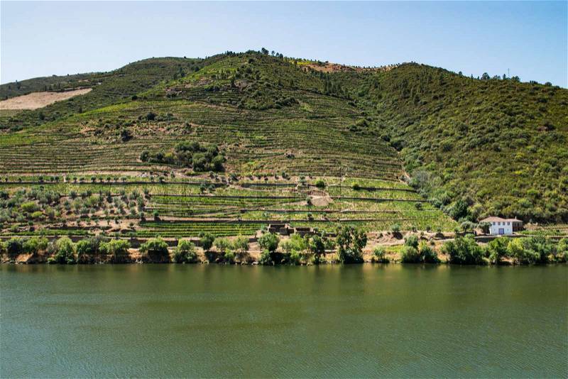 Point of view shot from historic train in Douro region, Portugal. Features a wide view of terraced vineyards in Douro Valley, Alto Douro Wine Region in northern Portugal, officially designated by UNESCO as World Heritage Site, stock photo