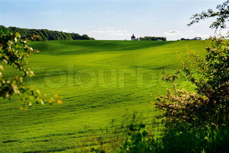 A green field, and a small forest under a blue sky, stock photo