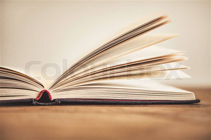 Close up opened book page with blurry background, stock photo