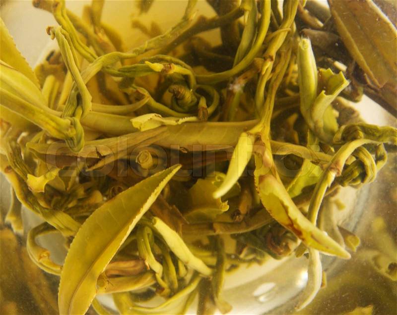 Closeup picture of white tea leaves in glass cup, stock photo