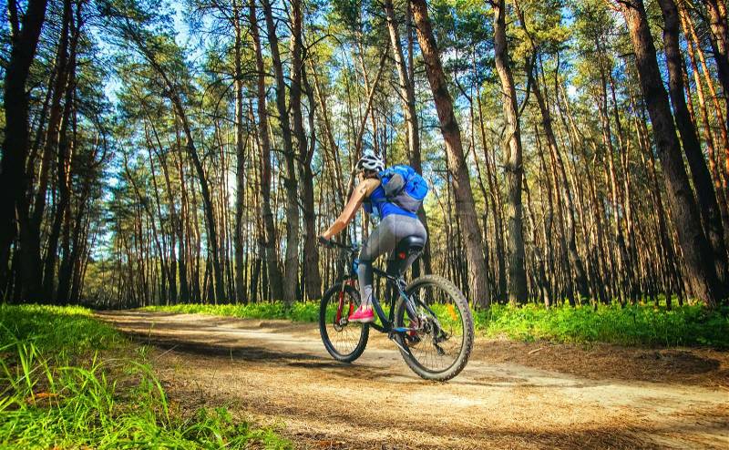 One young woman - cyclist in a helmet riding a mountain bike outside the city, on the road in a pine forest on a summer day, stock photo