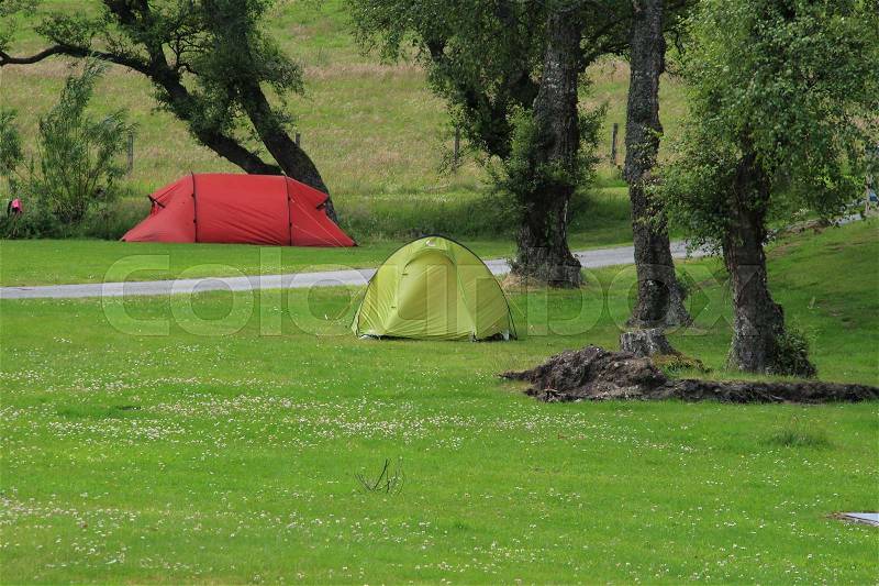 A red and a green tent between the trees at the camping site at the village Braemar in Scotland in the summer, stock photo