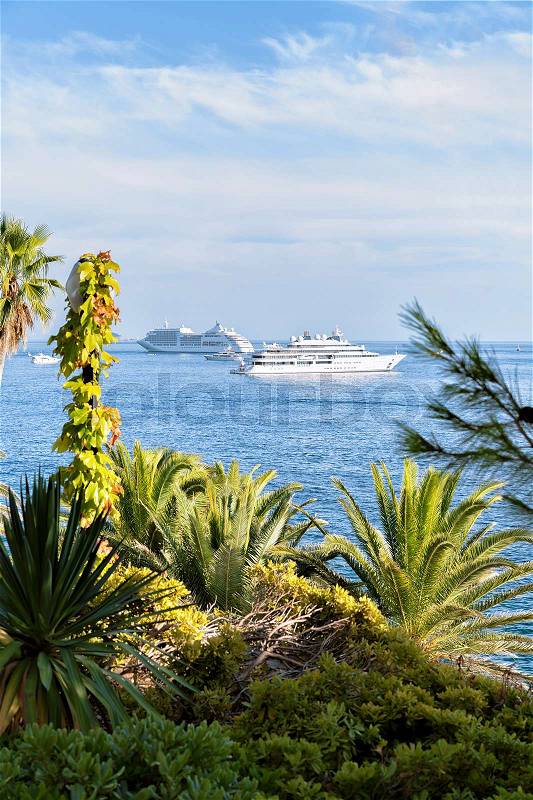 Luxury cruise ships at the Adriatic Sea and palm trees, Dubrovnik, Croatia, stock photo